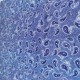 50/1 Poplin Fabric Blue Drop Printed PPL0008